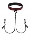 Ошейник с зажимами на соски Sweet Anticipation Fifty Shades of Grey Collar Nipp (FS83668)