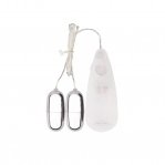 Віброяйце на пульті управління 2 шт. Chisa Hi-Basic Dual Delight Vibrating B (CH08510)