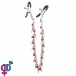 Зажимы на соски Nipple play Chain Red Bell and Spike (810343)