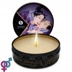 Массажная свеча Shunga MINI MASSAGE CANDLE - Exotic Fruits, 30 мл