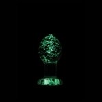 Анальная пробка стеклянная светящаяся NS Novelties FIREFLY GLASS PLUG SMALL CLEAR (T280467)