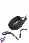 Нашийник з повідцем BLAZE COLLAR AND CHAIN BLACK (DT21264)