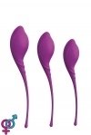Шарики вагинальные PLEASURE BALLS & EGGS KEGEL EXERCISE SET (DT21381)