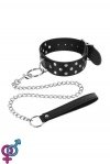 Нашийник з повідцем Fetish Tentation Rivets and Leash (SO3728)