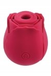 Вакуумный клиторальный стимулятор ADAM ET EVE EVE'S RAVISHING ROSE CLIT PLEASER (T840728)