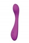 Вібратор для точки G Dream Toys VIBES OF LOVE SUGAR BRITCHES PURPLE (DT21379)