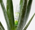 Лубрикант на водной основе asyGlide Aloe Vera, 30 мл (EG016)