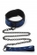 Набор ошейник и поводок синий WHIPSMART DIAMOND COLLAR AND LEASH BLUE (T160591)