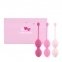 Набор вагинальных шариков для продвинутых FeelzToys - FemmeFit Advanced Pelvic Muscle Training Set (SO5067)