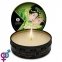 Масажна свічка Shunga MINI MASSAGE CANDLE - Exotic Green Tea, 30 мл