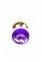 Анальная пробка с фиолетовым камнем Plug-Jewellery Gold BUTT PLUG- Purple (BS6400070)