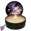 Массажная свеча Shunga MINI MASSAGE CANDLE - Exotic Fruits, 30 мл