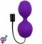 Вагинальные шарики с вибрацией Adrien Lastic Kegel Vibe Purple