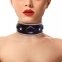 Ошейник из натуральной кожи со стразами и кольцом Art of Sex -  Collar Ring (SO5179)