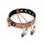 Ошейник с зажимами для сосков Liebe Seele Rose Gold Memory Collar with Nipple Clamps (SO9495)